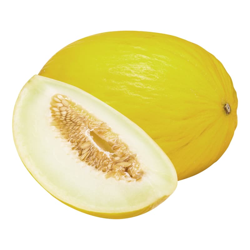 Honey Dew Melon