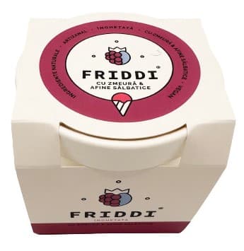 Friddi Ice cream with raspberries and blueberries