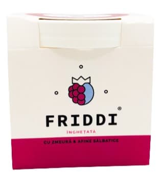Friddi Ice cream with raspberries and blueberries