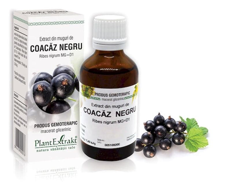 EXTRACT DIN MUGURI DE COACAZ NEGRU 50ML