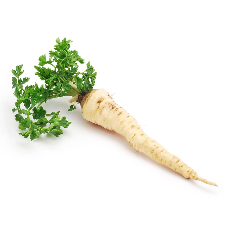 Parsley root with leaves (bunch)