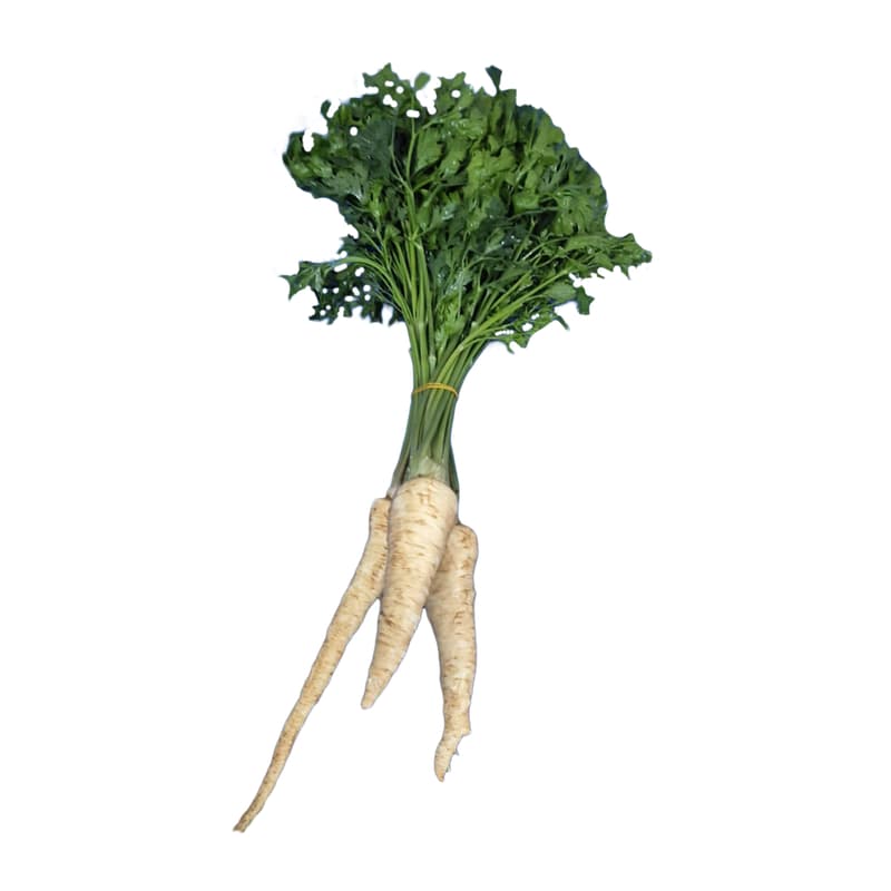 Parsley root with leaves (bunch)