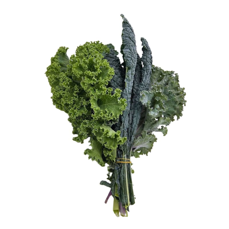 Multicolored Kale Cabbage bunch