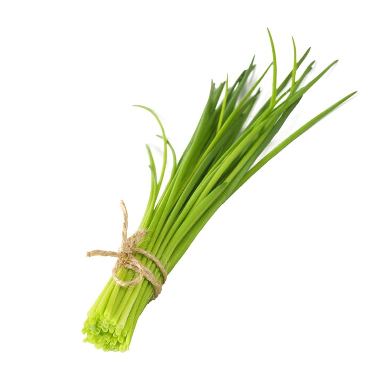 Nasul Rosu ECO Chives