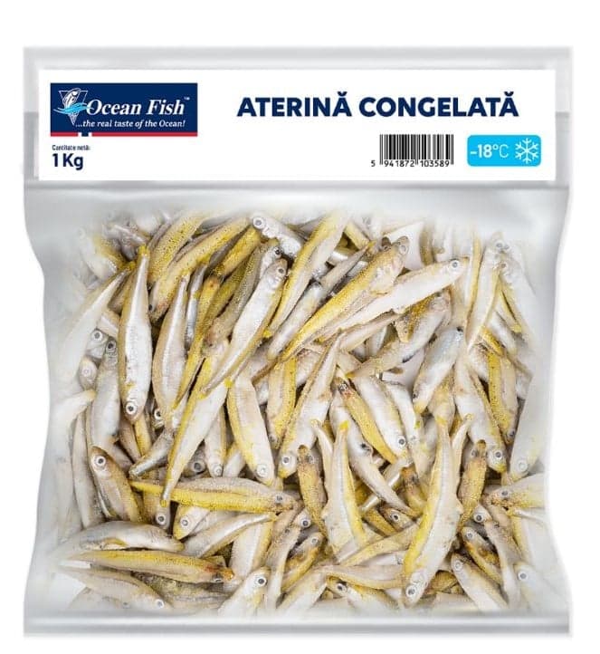 Ocean Fish Peste aterina