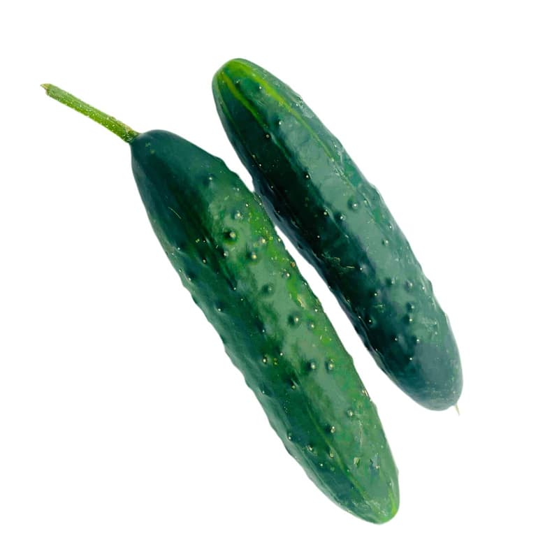 ECO Italian Cucumbers