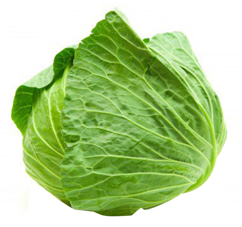 New White Cabbage