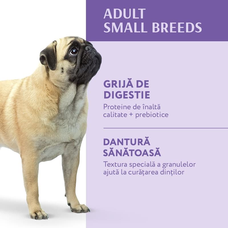 Optimeal Hrana uscata completa pentru caini adulti de talie mica, rata