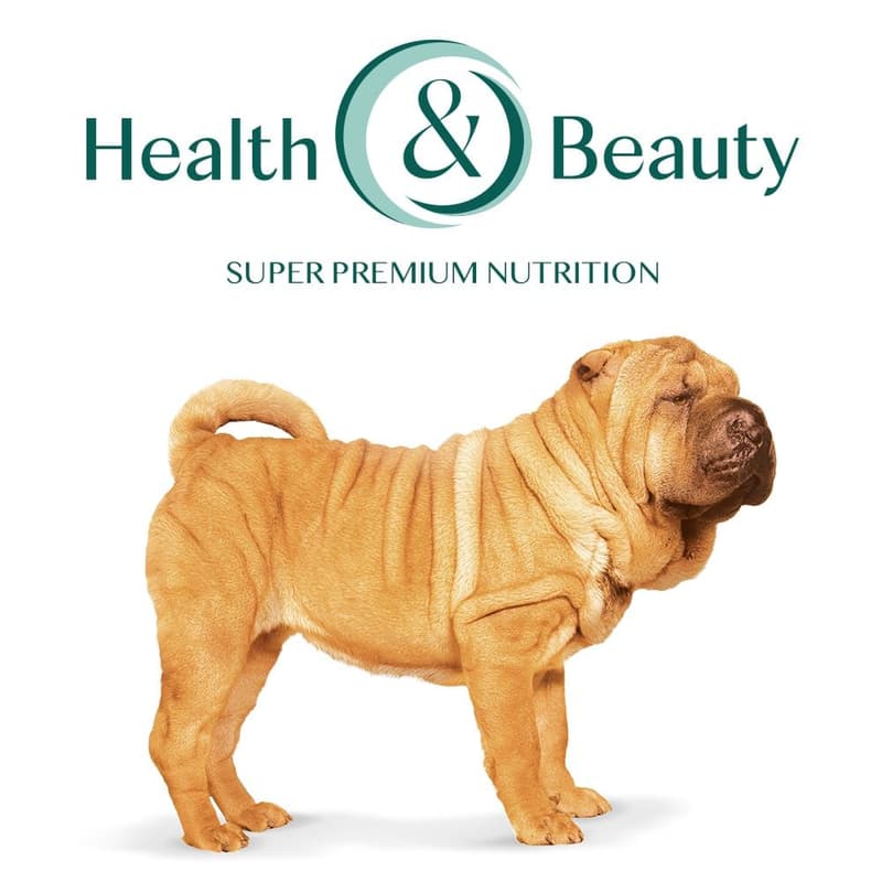 OPTIMEAL ™ Complete Dry Food for Adult Hypoallergenic Medium and Large Breed Dogs, Salmon