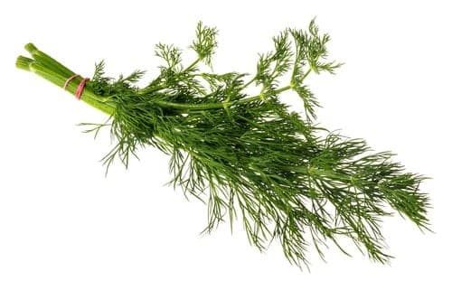 Marar proaspat Romania legatura