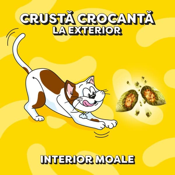 Dreamies Cat Treats, with Catnip Flavor