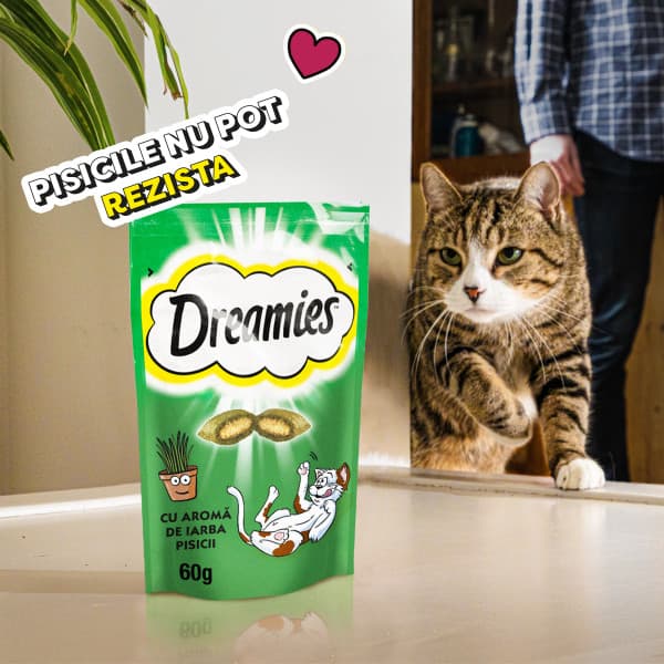Dreamies Cat Treats, with Catnip Flavor