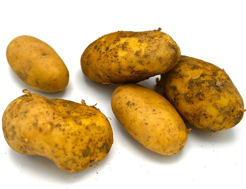 ECO New White Potatoes