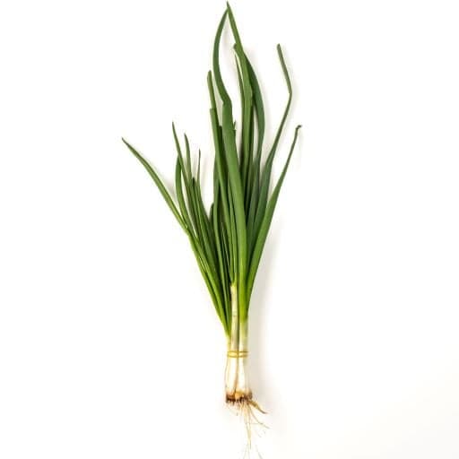 Usturoi verde legatura