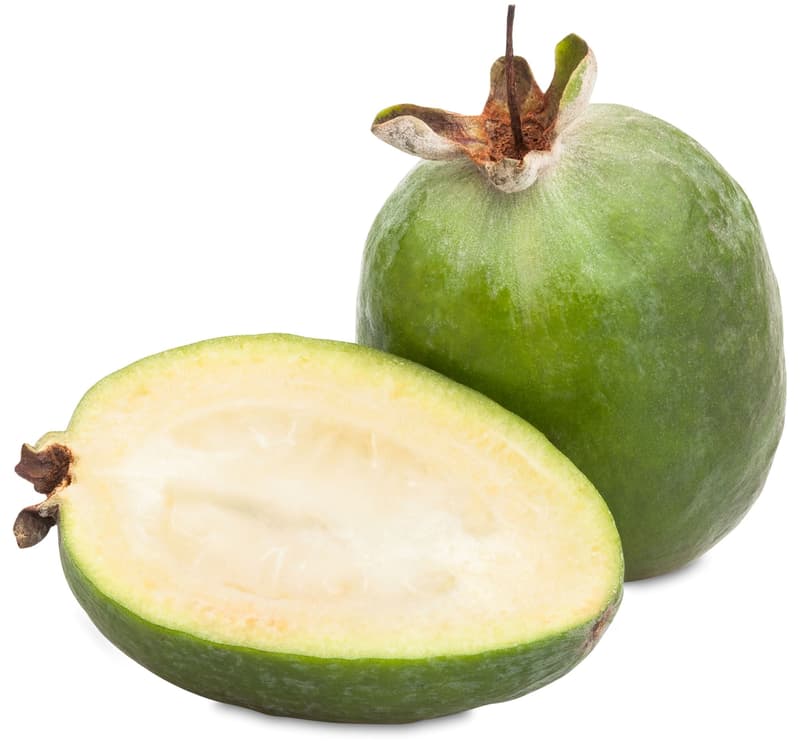 Feijoa