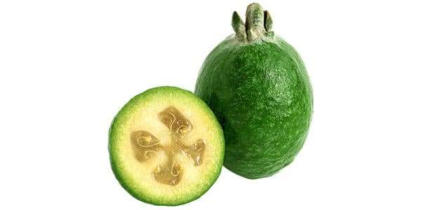 Feijoa