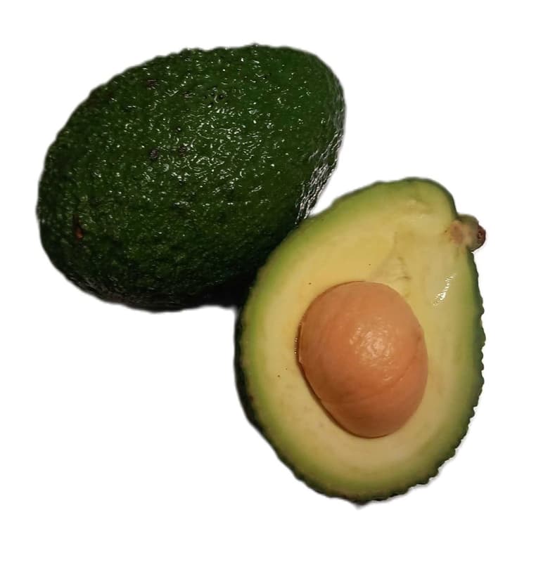 ECO Avocado