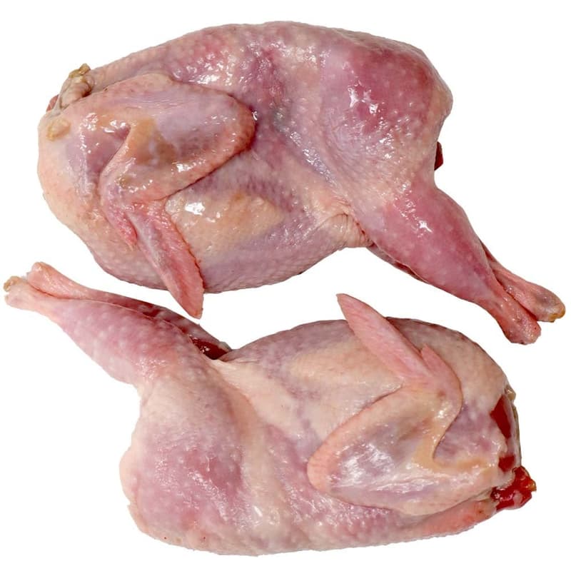 Taste Cool Carcasa de prepelita 2 bucati