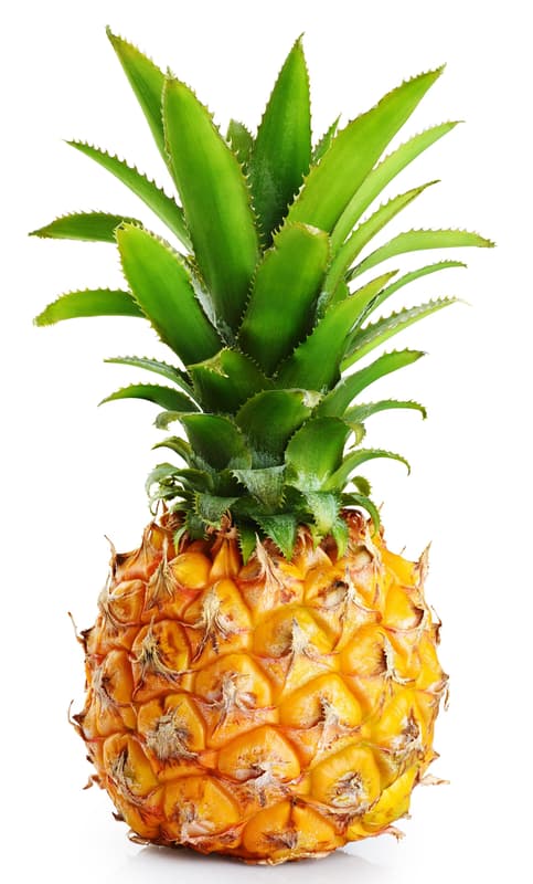 Baby Pineapple