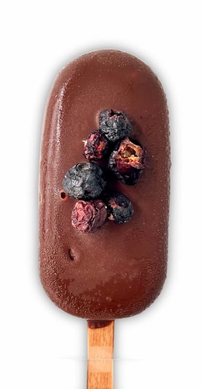 Rawmantic Vegan Ice Cream on a Stick with Blueberry Flavor