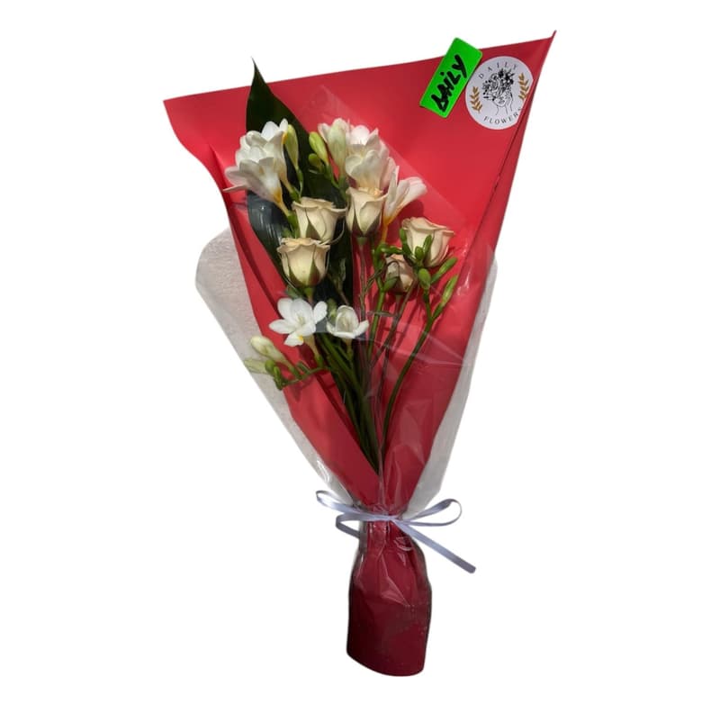 Bouchet Sezamo Daily