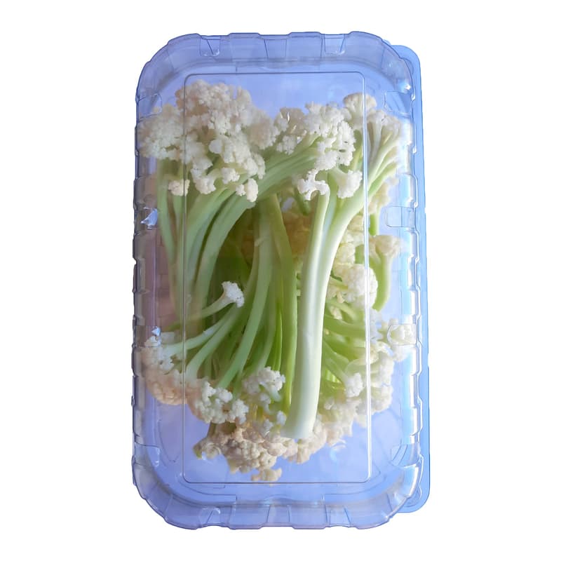 Blumini