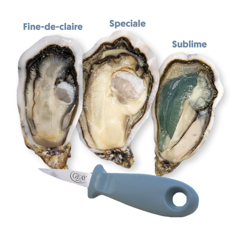 GEAY Tasting Box 12 Oysters N2 â€ French Box + knife