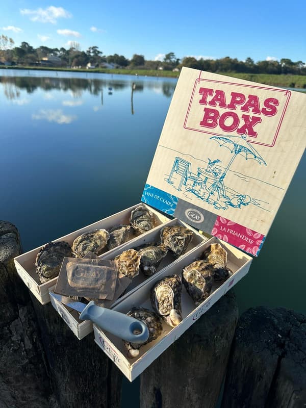 GEAY Tasting Box 12 Oysters N2 â€ Tapas Box + knife