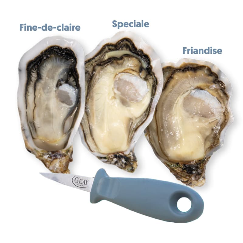 GEAY Tasting Box 12 Oysters N2 â€ Tapas Box + knife