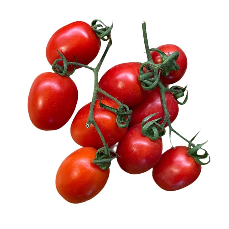 ECO Rosii cherry Piccadilly