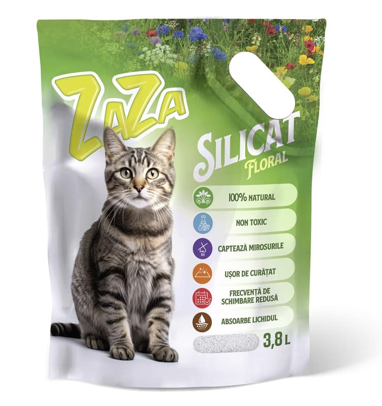 Zaza Silicat, floral