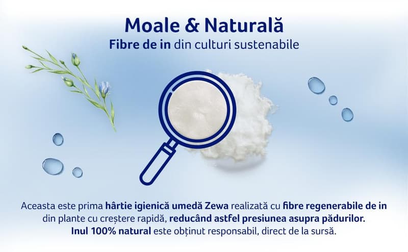 Zewa Kids Wet toilet paper, 42 pieces