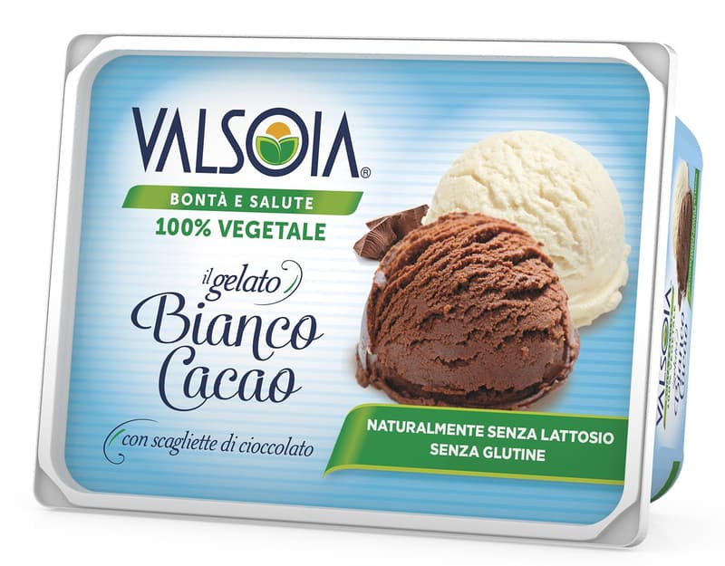 Valsoia Soy and cocoa ice cream