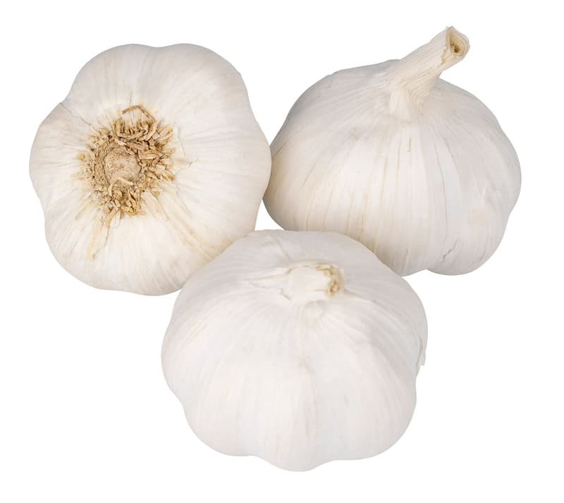 Usturoi (bucata)