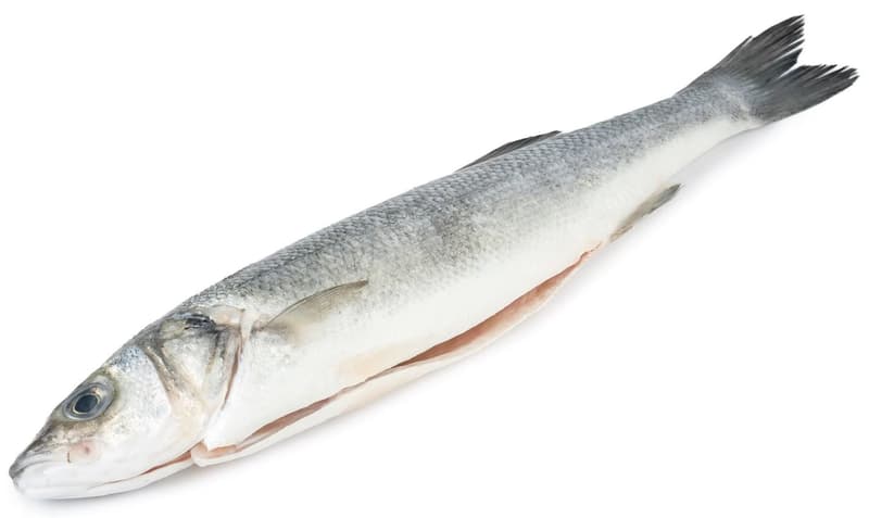 Alfredo Seafood ECO Sea Wolf