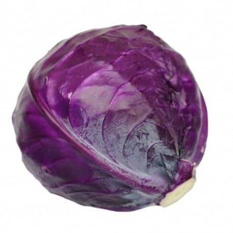 ECO Red Cabbage