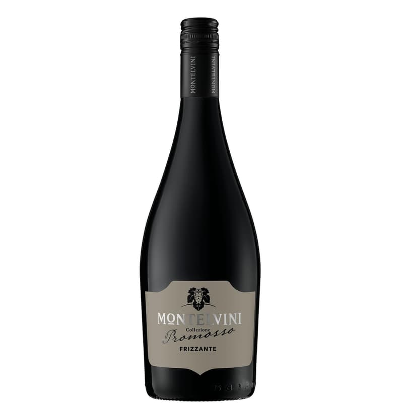 Montelvini Frizzante Promosso Vin alb spumant