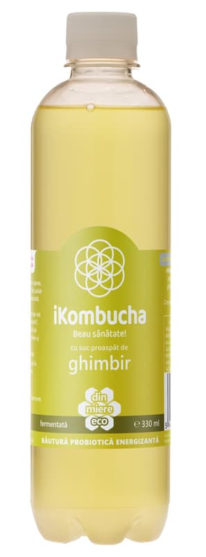 iKombucha Ghimbir bautura racoritoare carbogazoasa pet