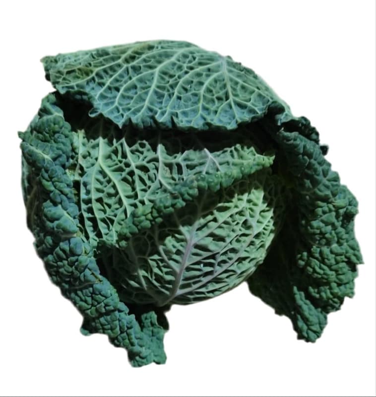 ECO Varza de Savoya 500 Gr+