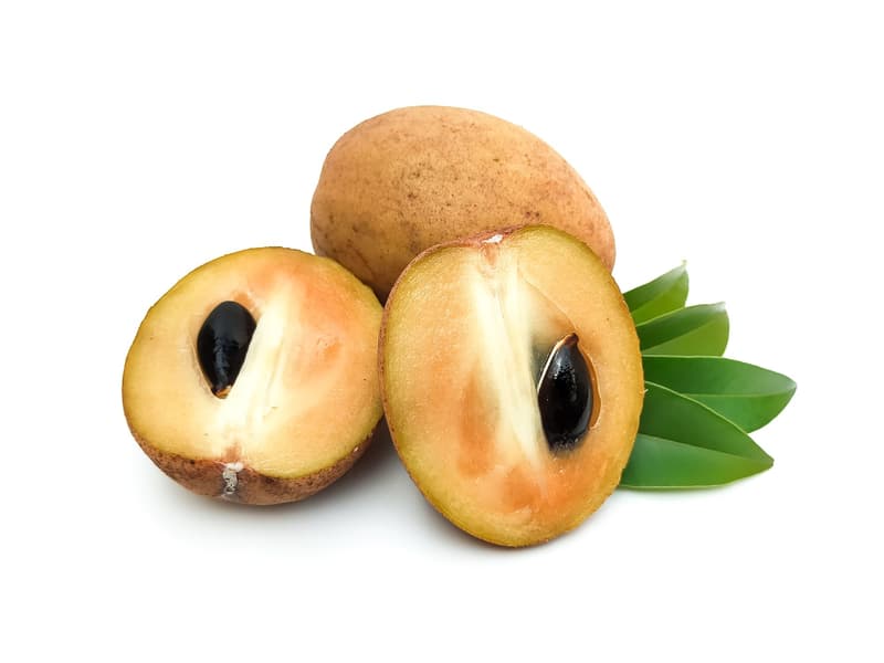 Sapodilla by Air