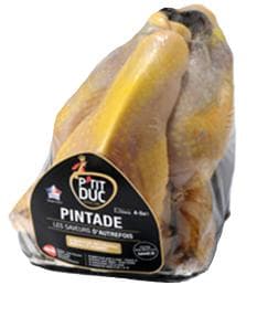 P tit Duc Bibilica de origine Franta