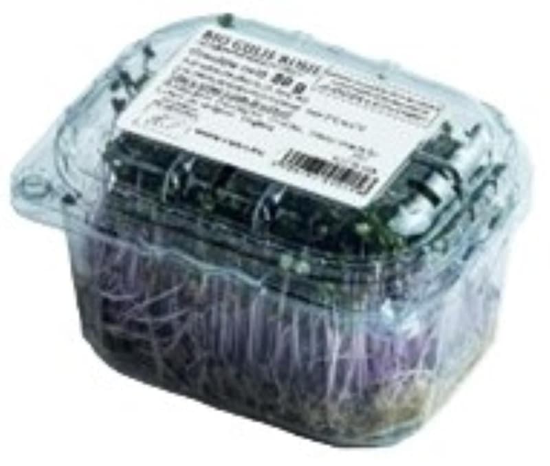 Red cabbage microgreens