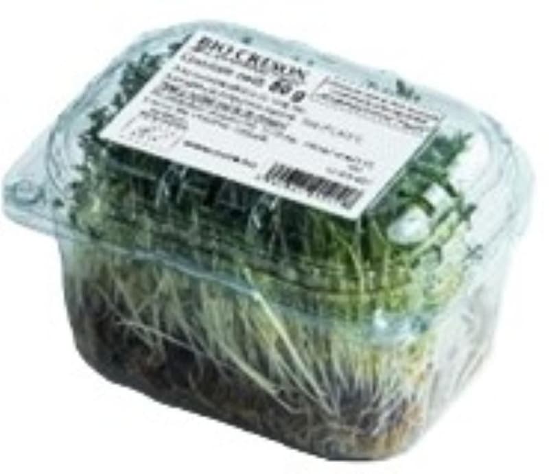 Watercress microgreens