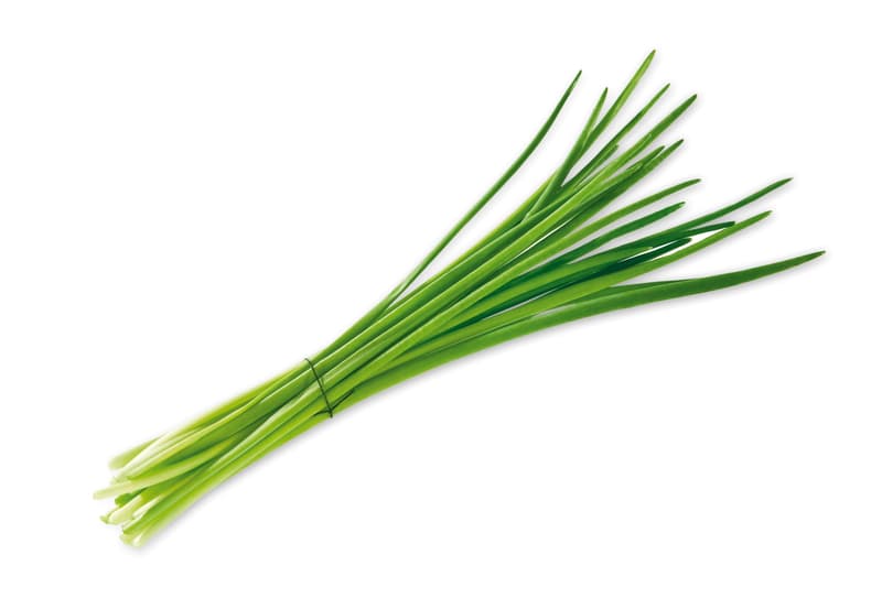 Bioferma Niculesti ECO Usturoi de frunze asiatic 30 gr