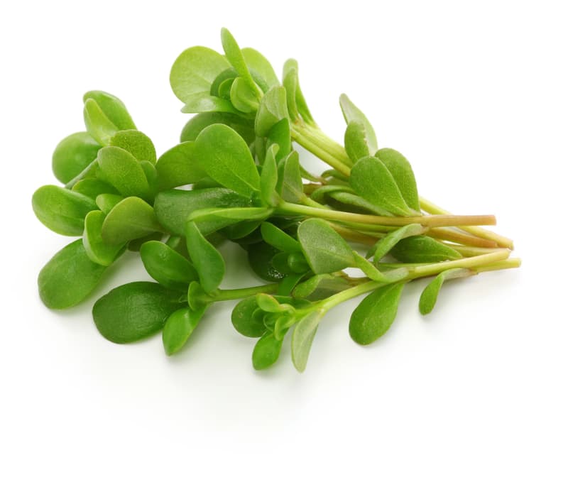 Bioferma Niculesti ECO Iarba grasa 100 gr
