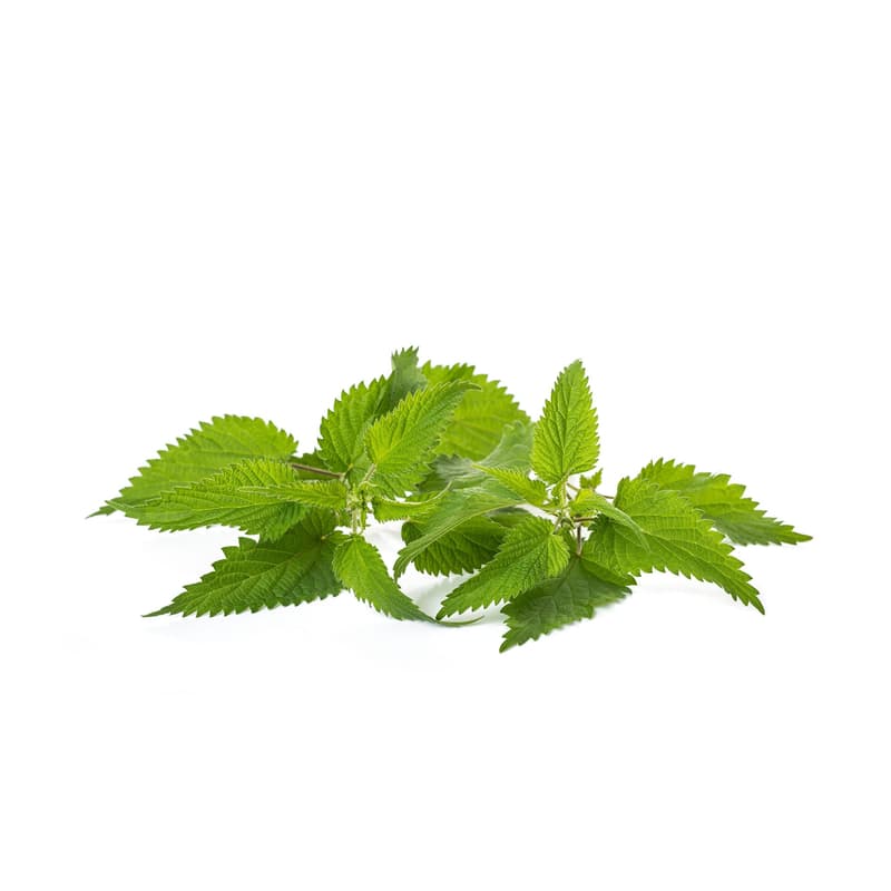 Bioferma Niculesti ECO Urzici 350 gr