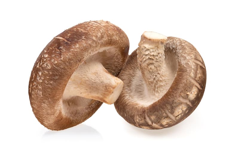 ECO Ciuperci Shiitake