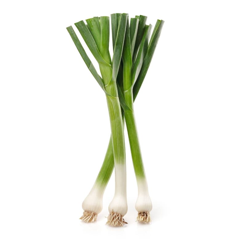 Bioferma Niculesti ECO Usturoi verde