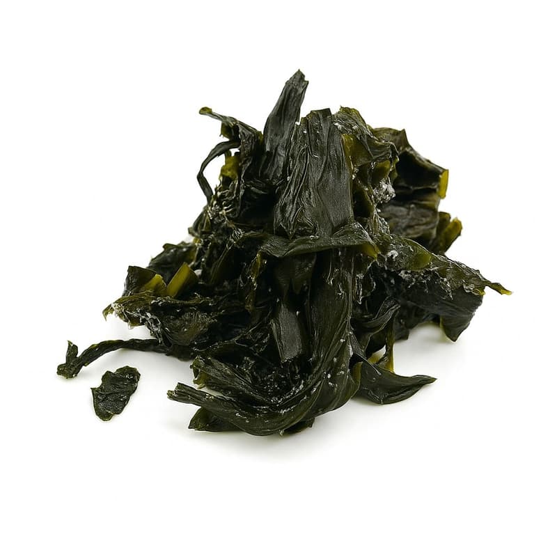 ECO Wakame (alge marine) din Bretania