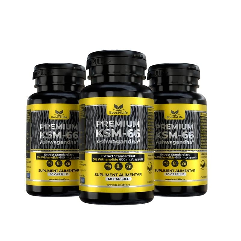 BOOST 4 LIFE PREMIUM ASHWAGANDHA 60 CAPSULE